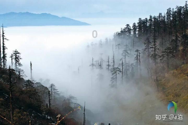 三小只僵尸的游戏时间5